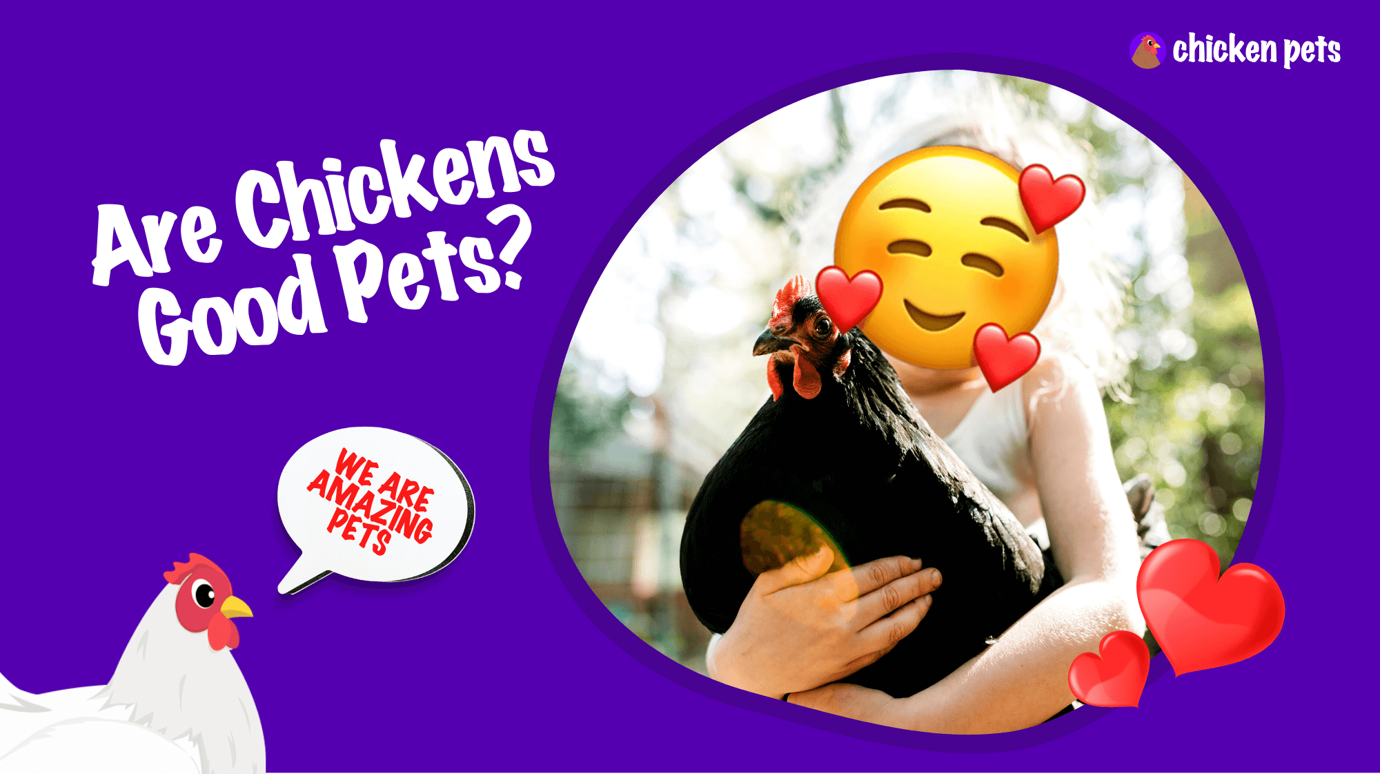 are chickens good pets