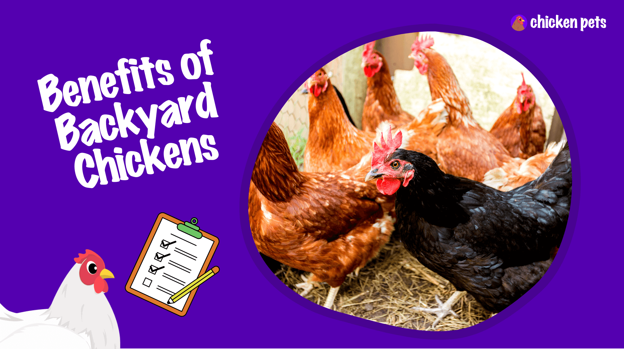 benefits backyard chickens