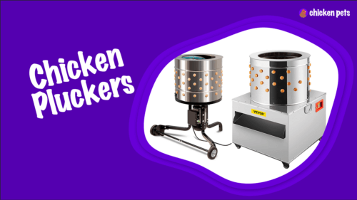 Best Chicken Plucker. What Are My Options?