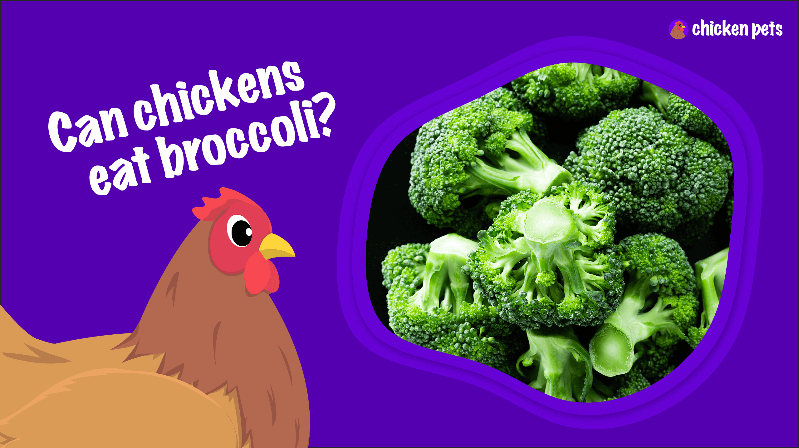 can chickens eat broccoli