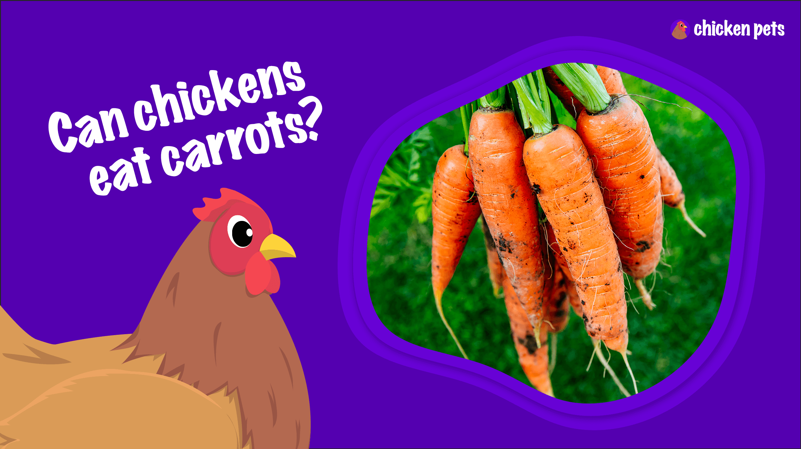 can chickens eat carrots