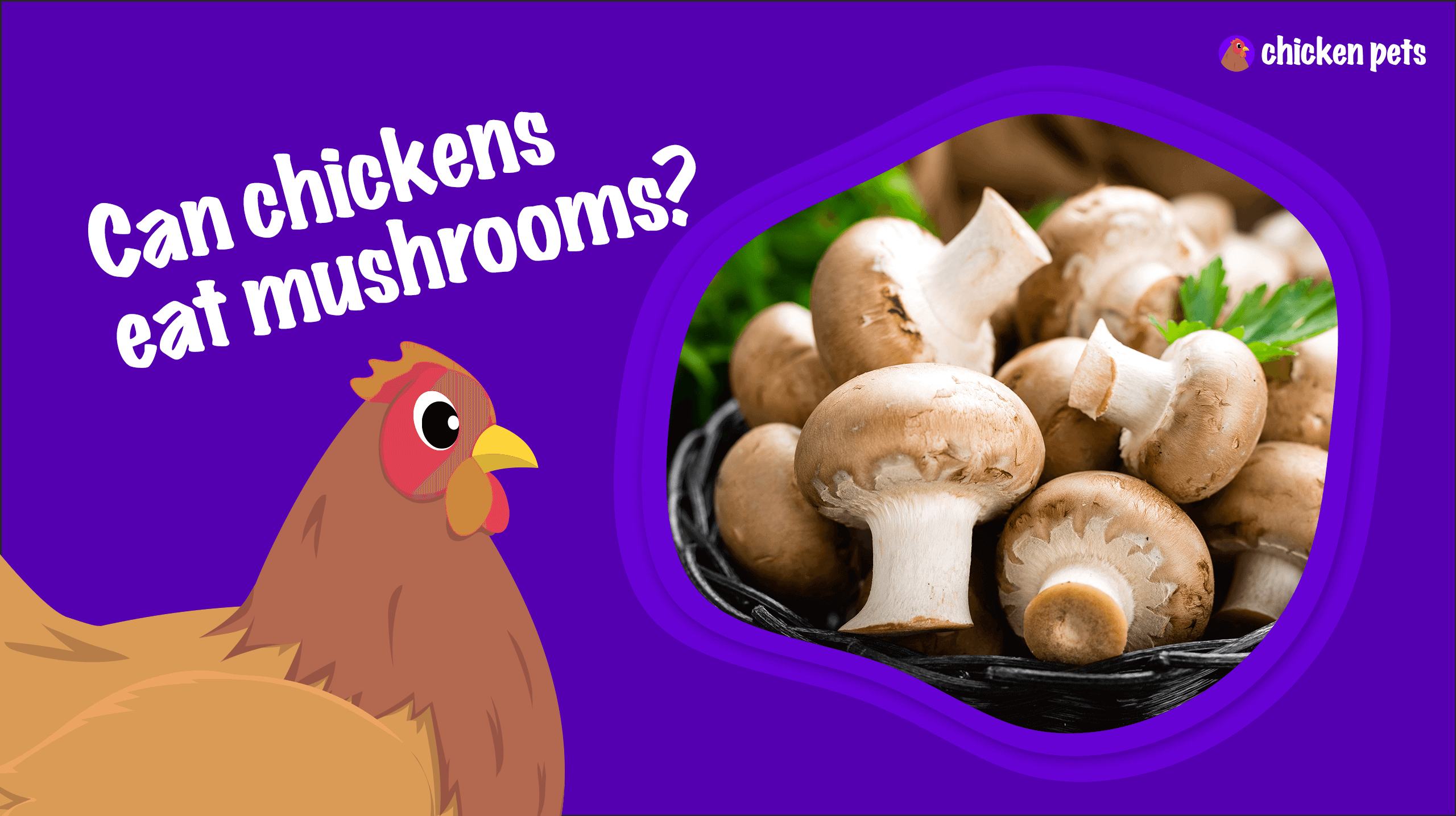can chickens eat mushrooms