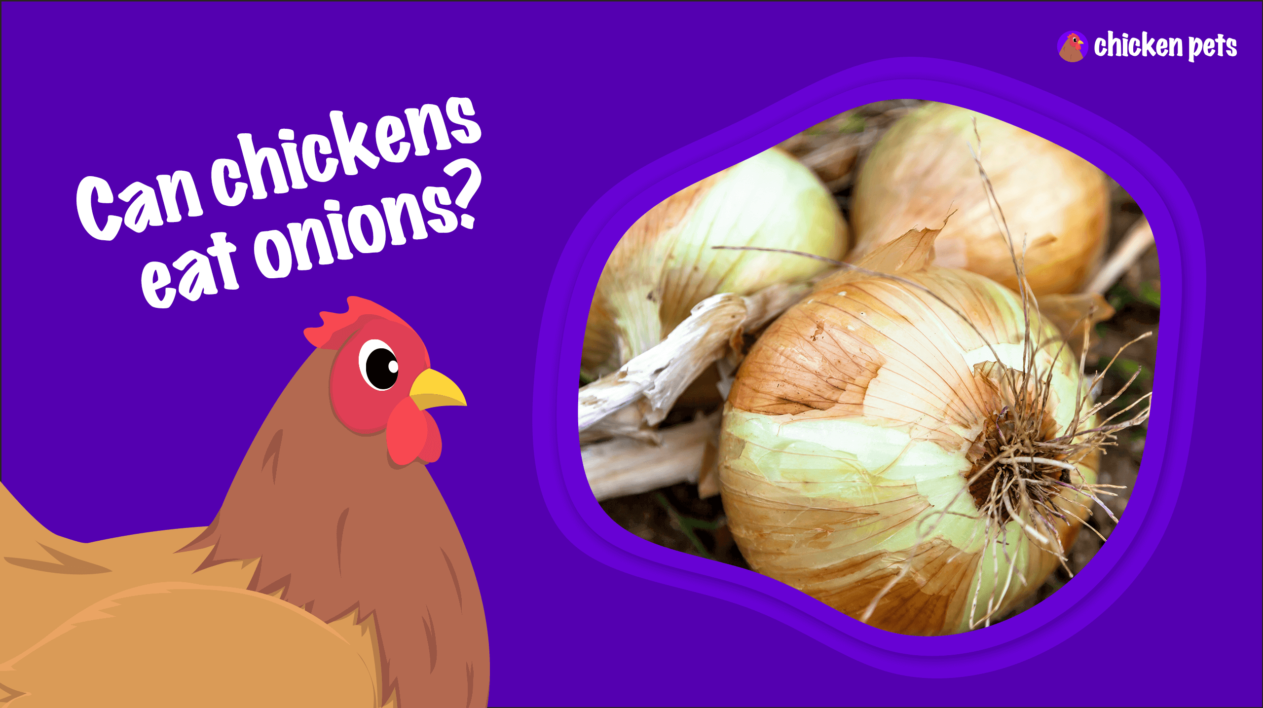 can chickens eat onions
