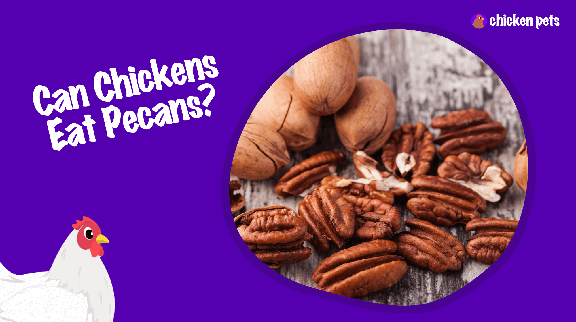 can chickens eat pecans