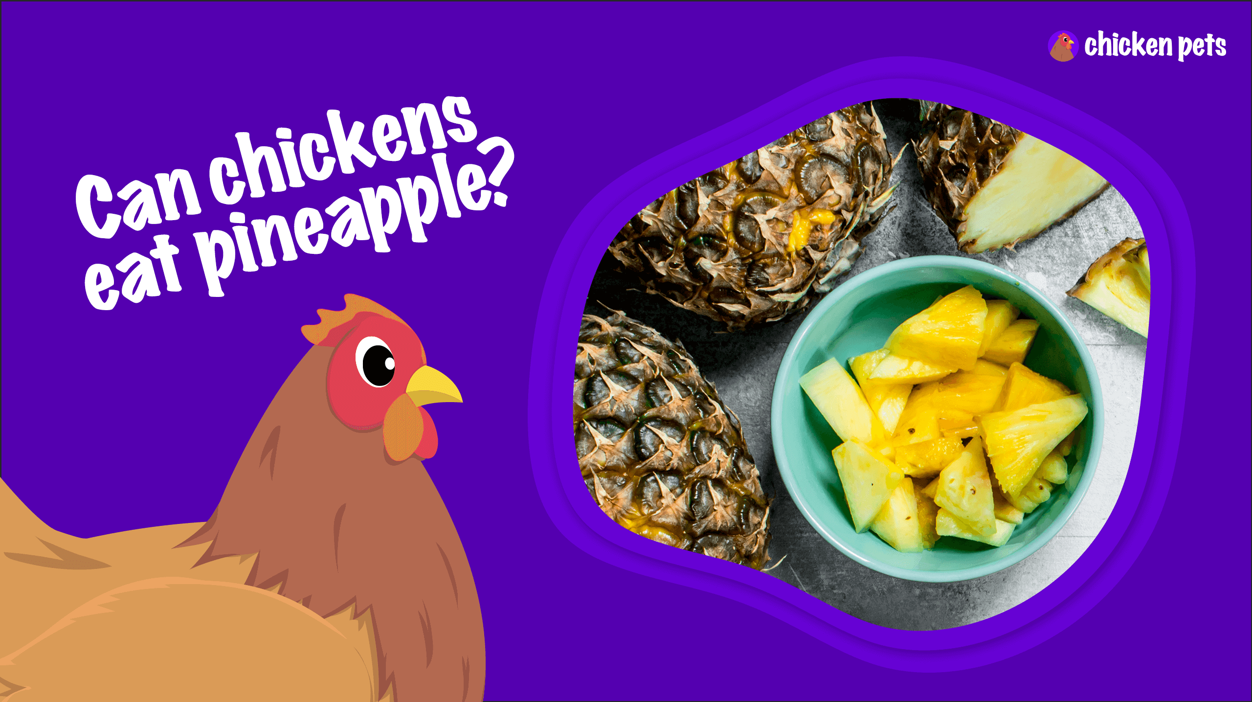 Can Chickens Eat Pineapple?