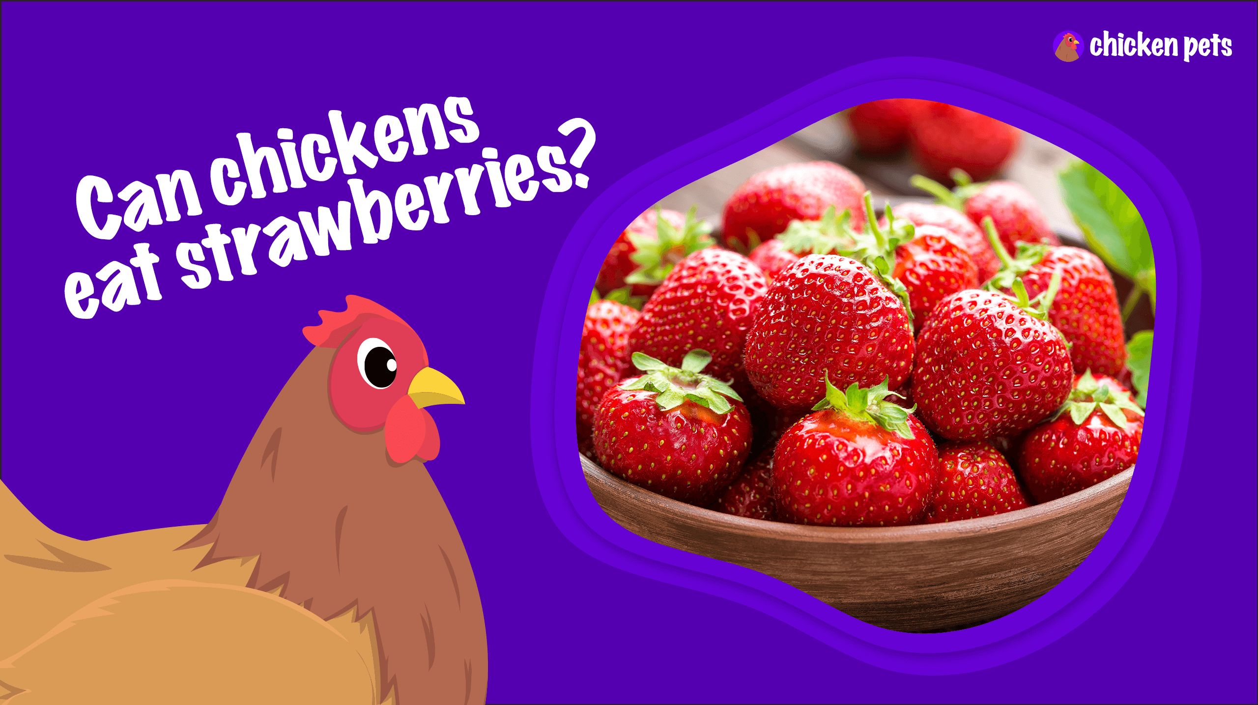 Can Chickens Eat Strawberries?