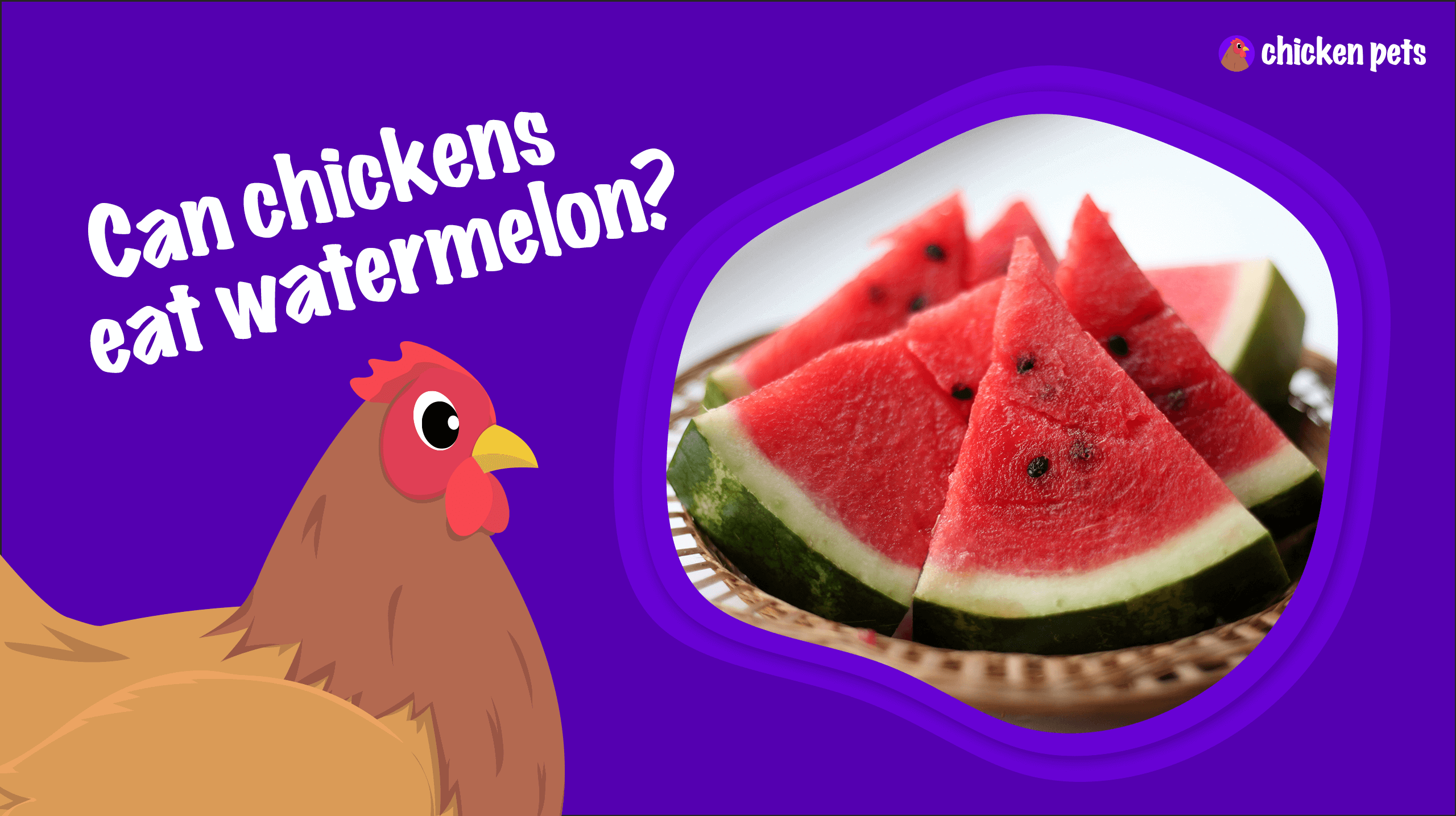 can chickens eat watermelon