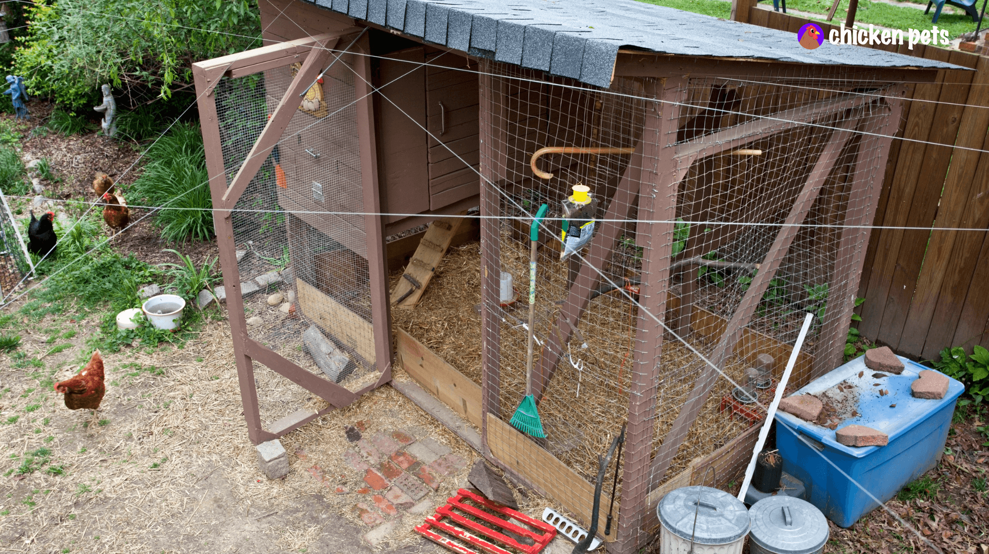 clean chicken coop