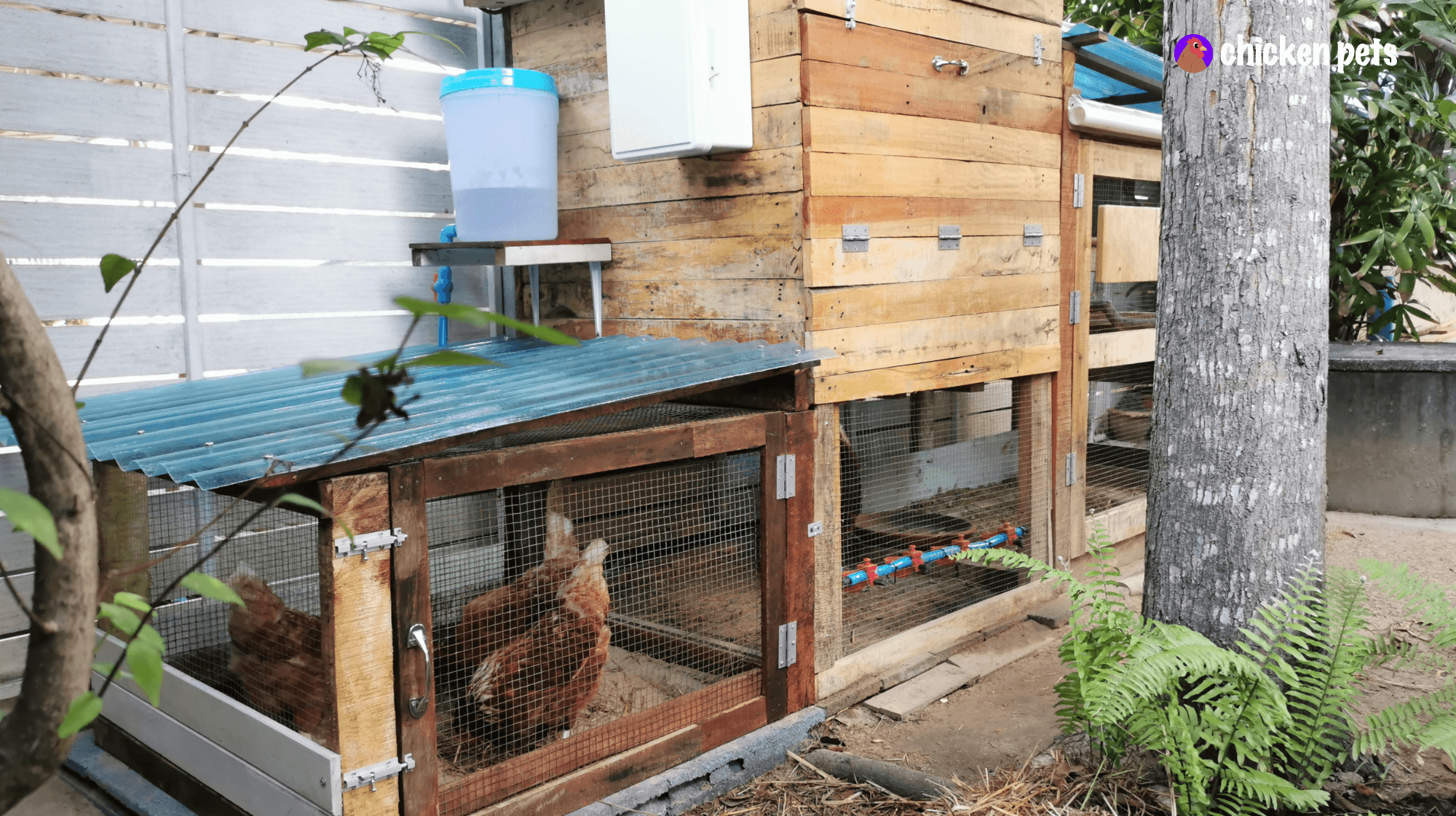 chicken coop homemade