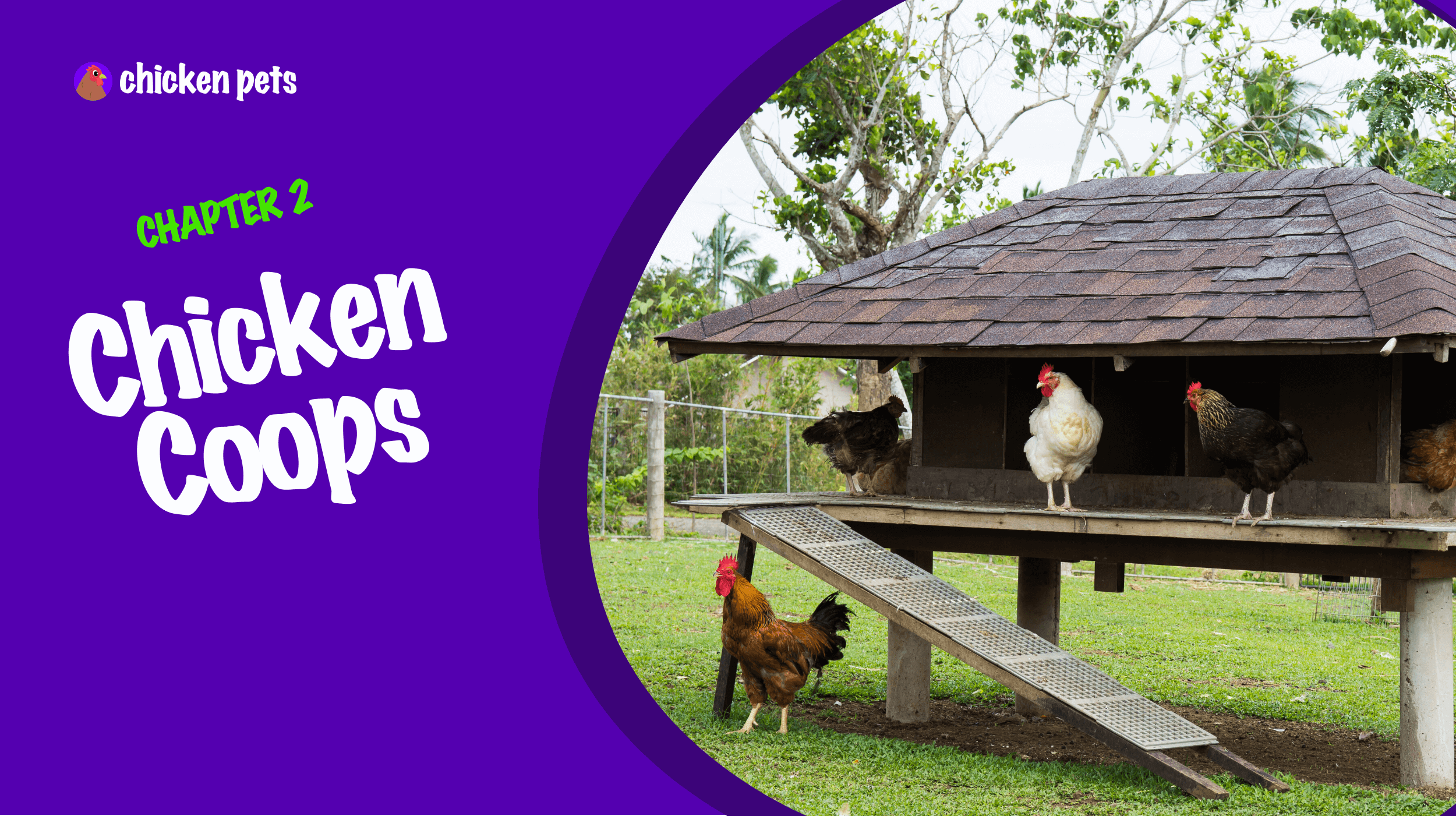 Chicken Coops. Components, Buying, Building