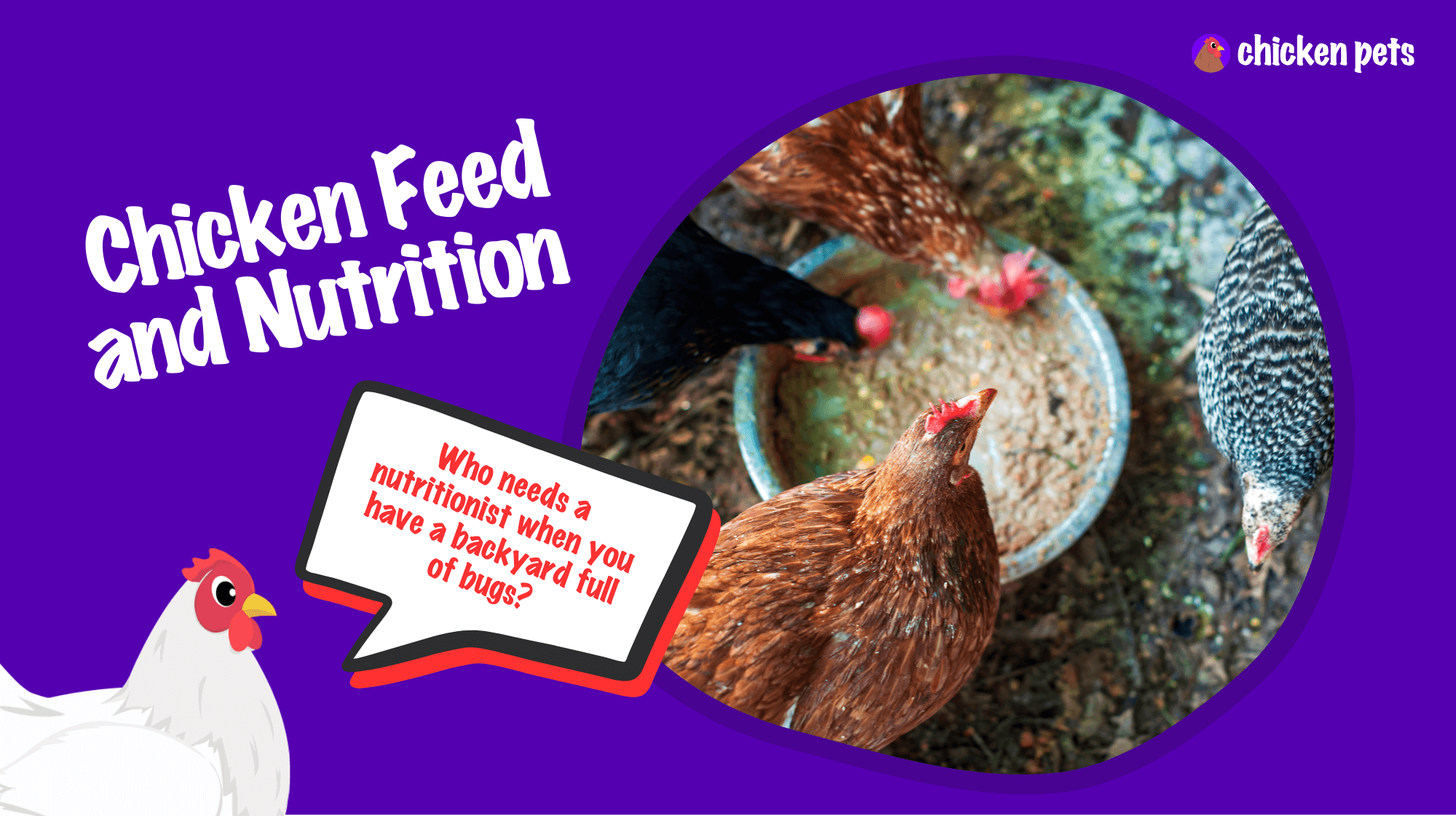 chicken feed nutrition
