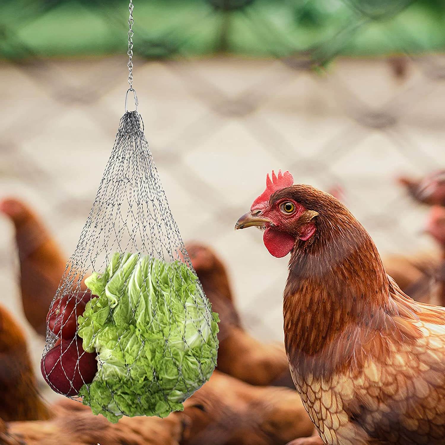 Hanging Feeder Net for Chicken Treats
