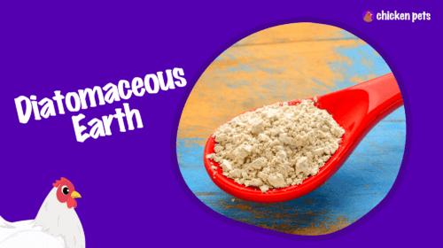 Is Diatomaceous Earth Harmful or Helpful to Chickens?