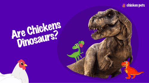 Are Chickens Dinosaurs?