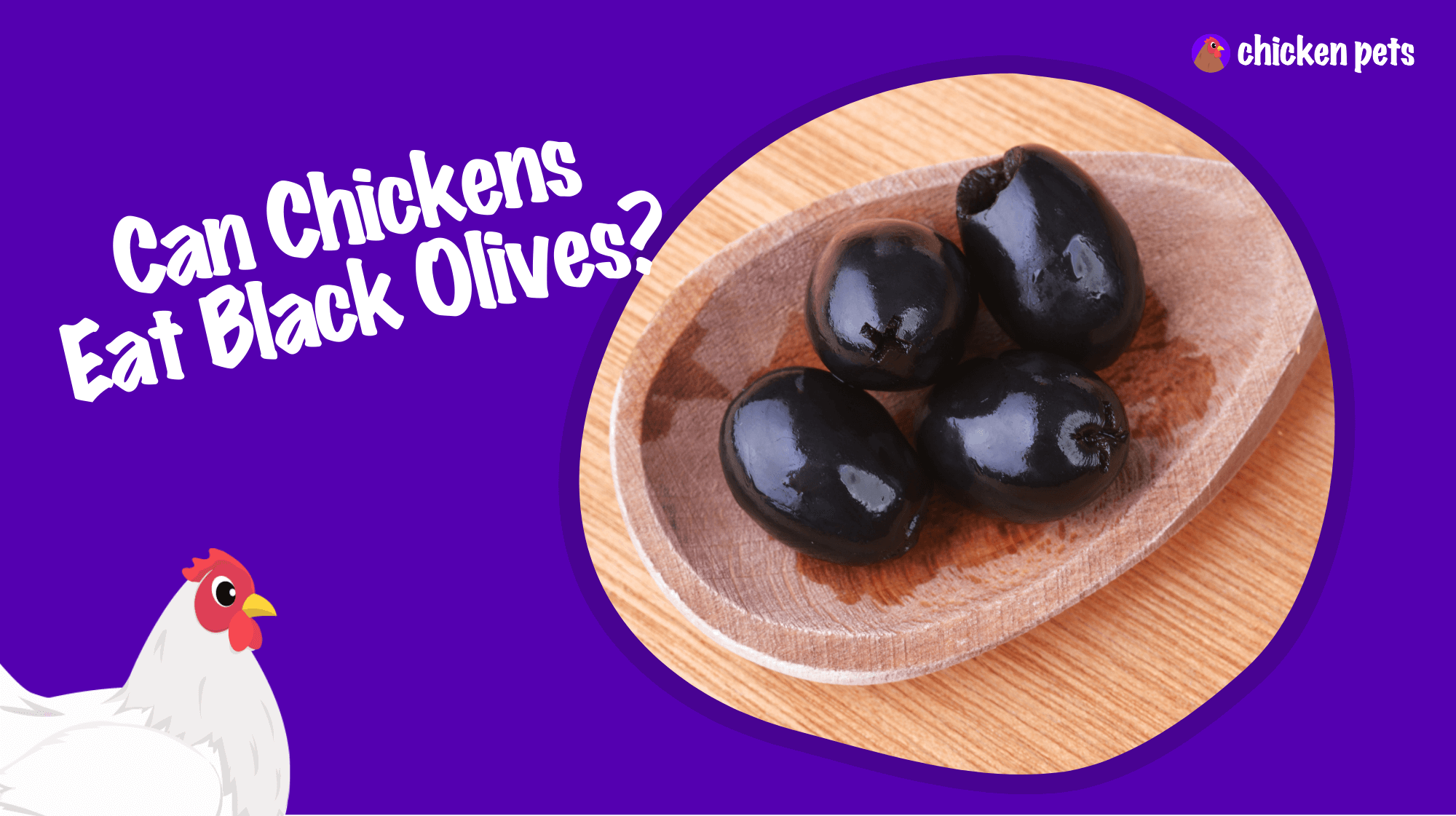 can chickens eat black olives