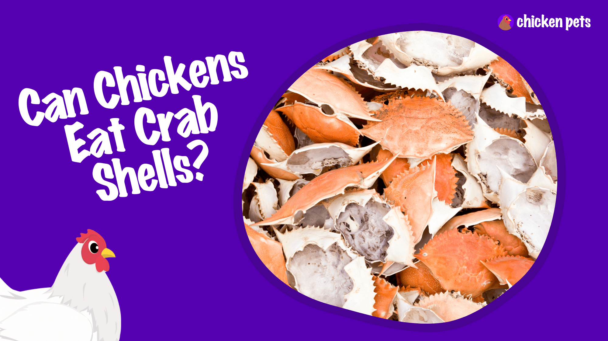 can chickens eat crab shells
