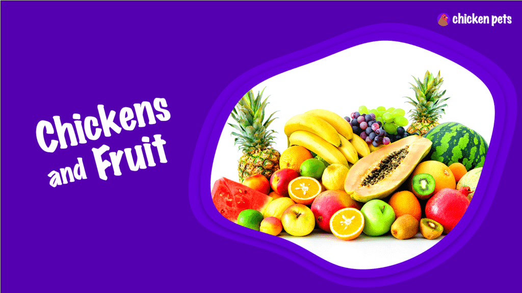 What Fruit Can Chickens Eat? Chicken Pets