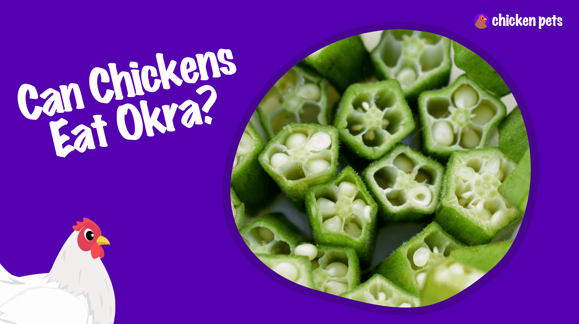 Can chickens eat okra