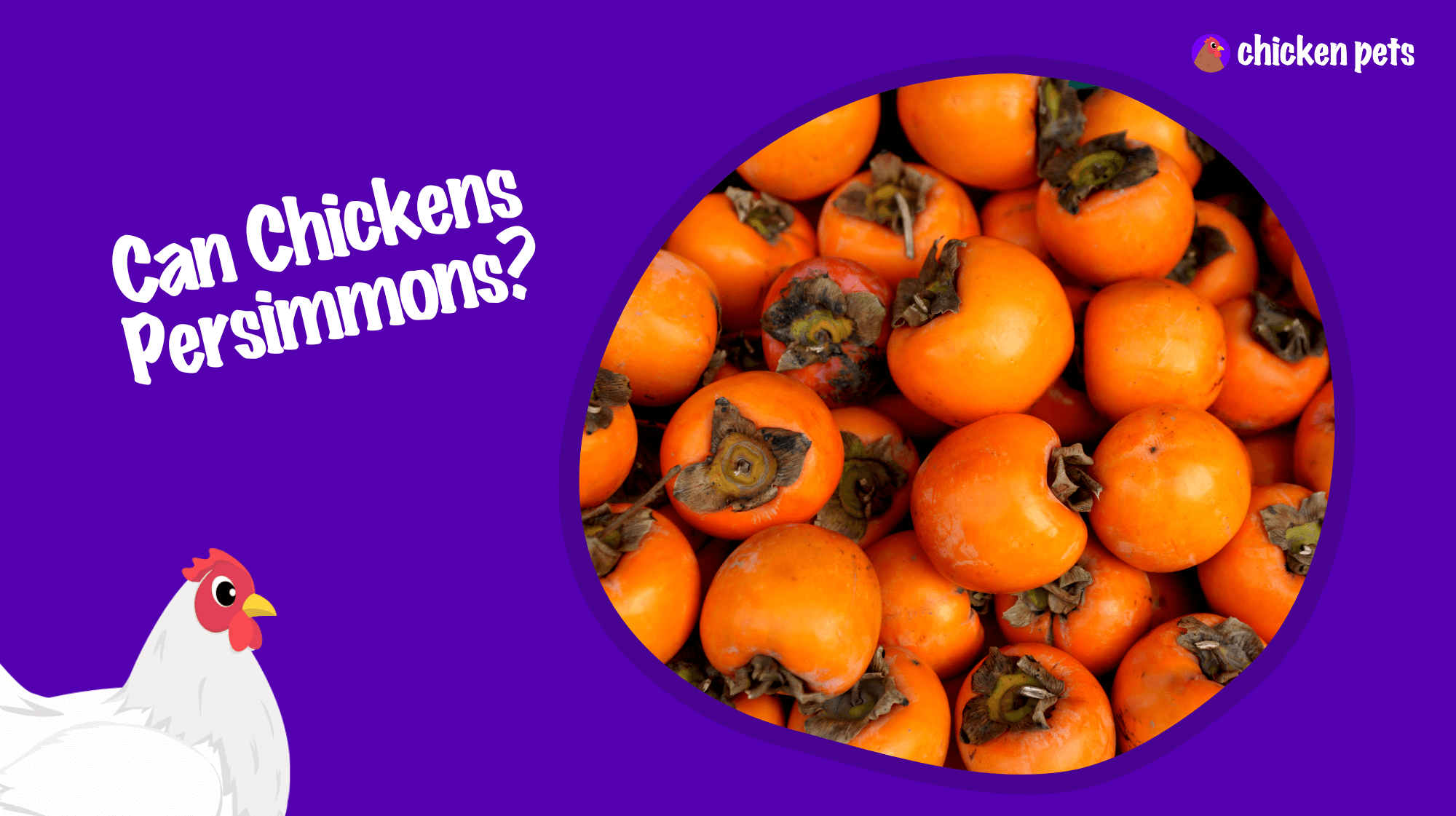Can Chickens Eat Persimmons