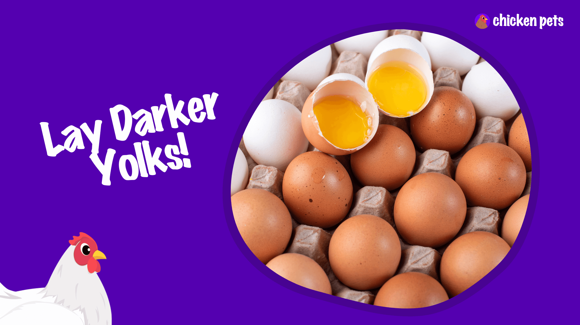 get chickens to lay darker yolks