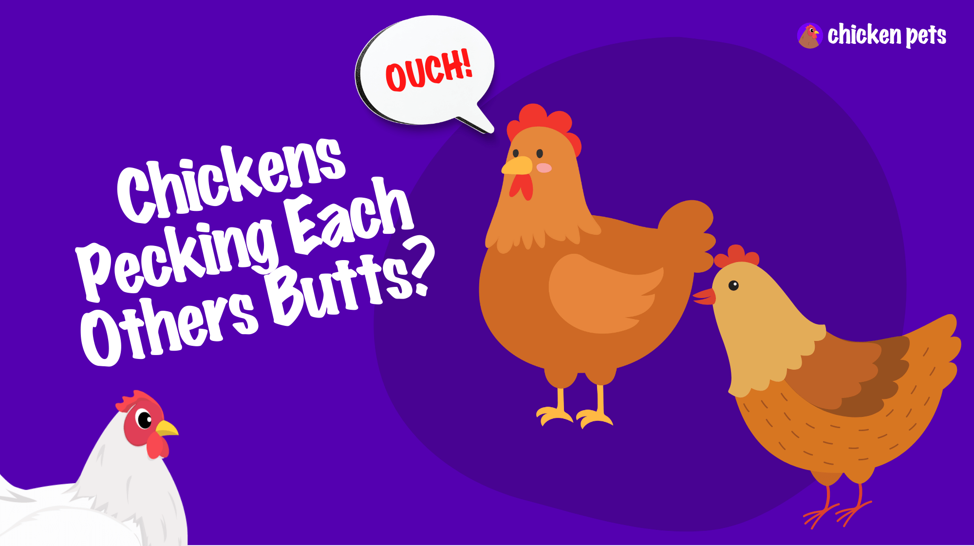 chickens pecking each others butts