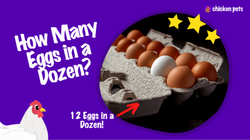 How Many Eggs Are In a Dozen?