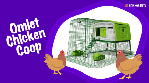 Omlet Chicken Coop Eglu Cube® Review