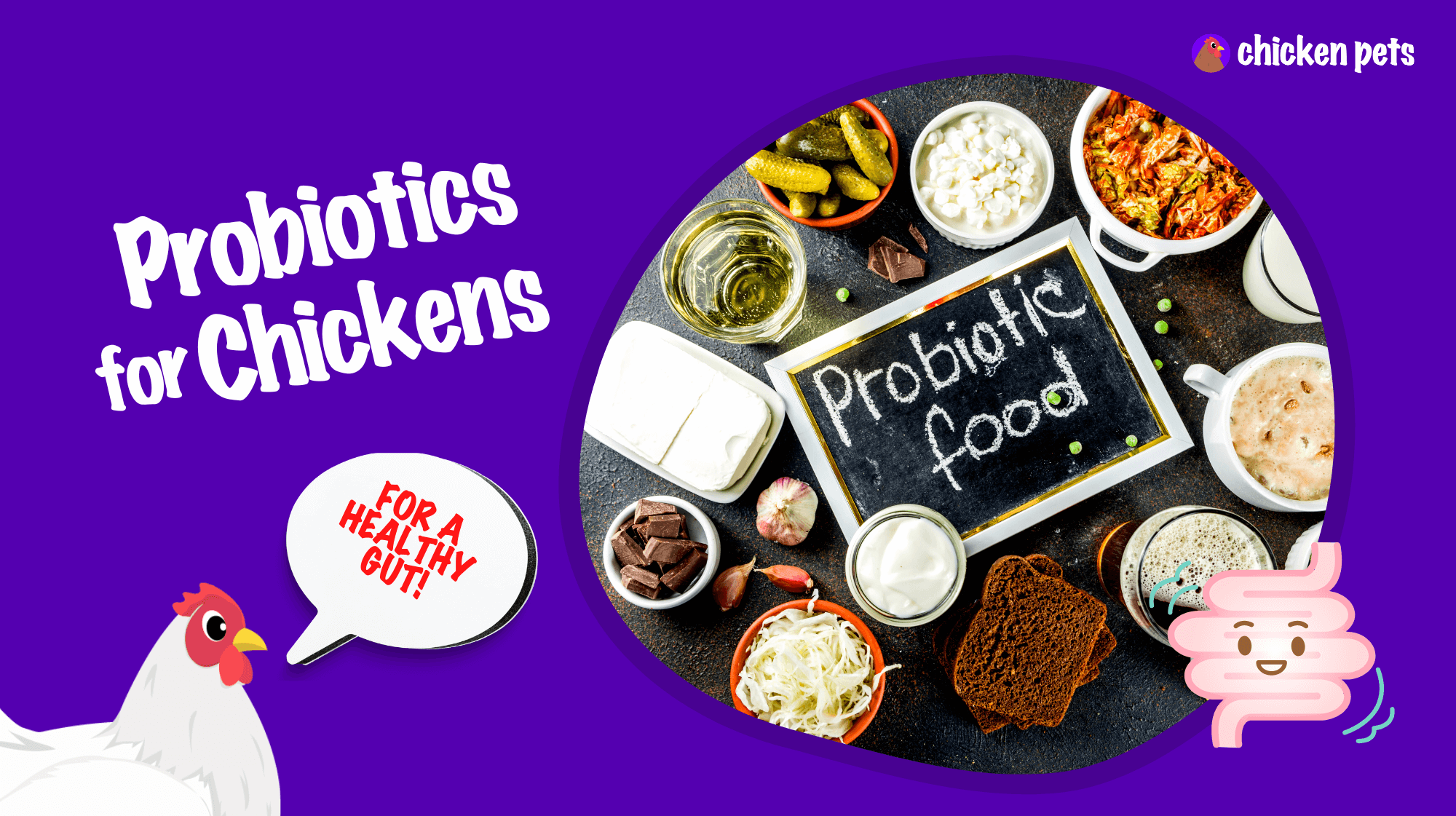 probiotics for chickens