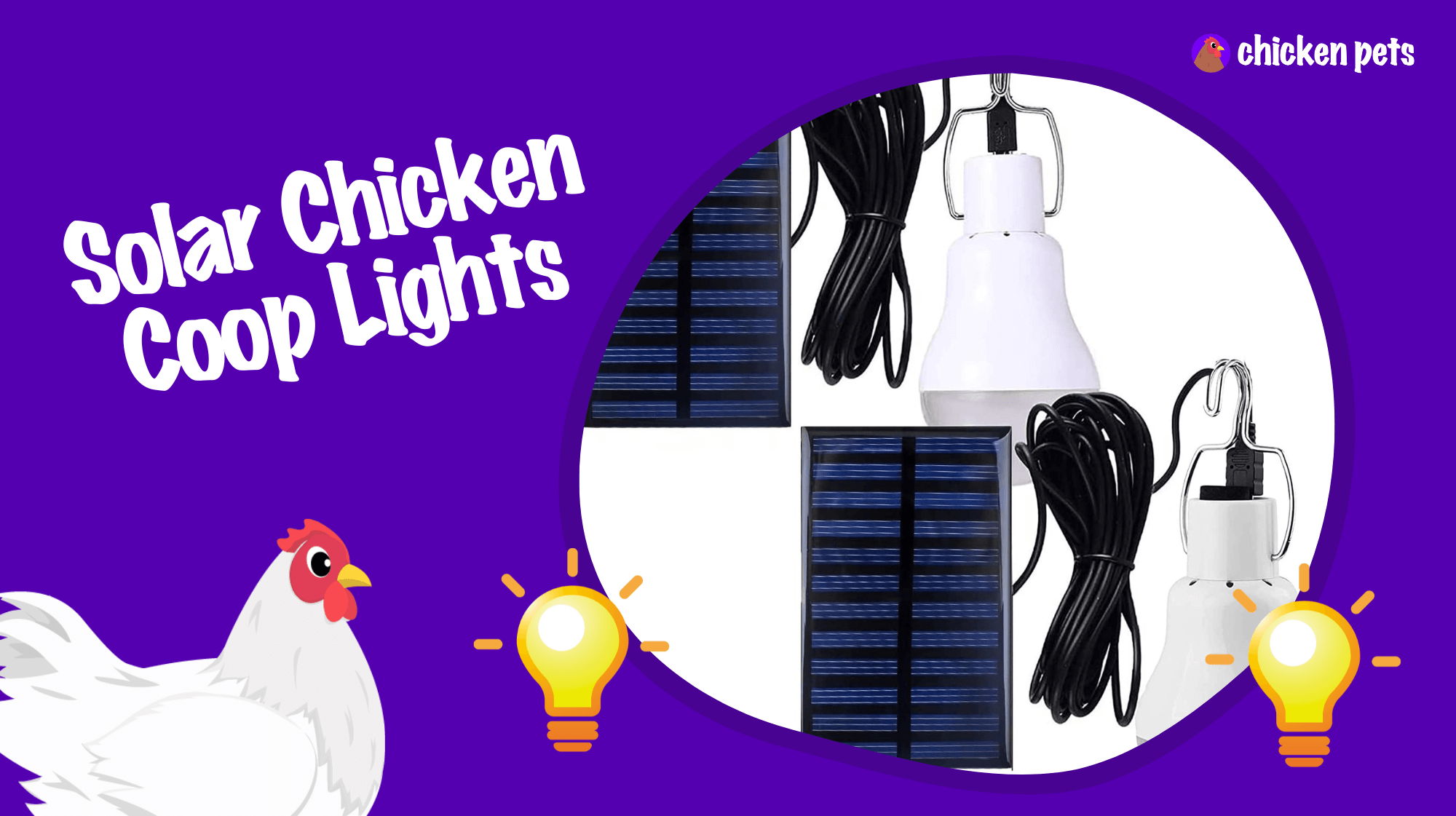 Solar Chicken Coop Lights